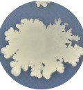 AQ BAY 2